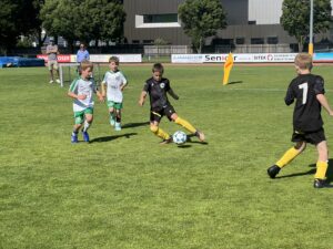 Großartiges Auftreten unserer Harreither U-8 Teams in Amstetten